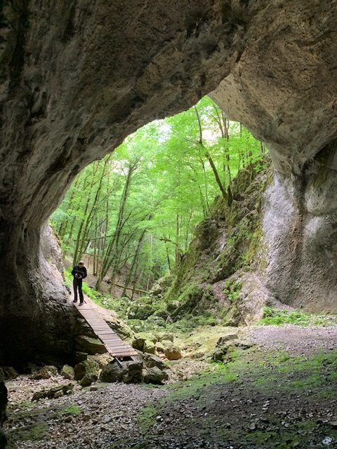 GROTTE DE LA BAUME ARCHÉE